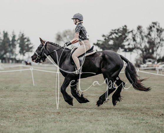 26MSHC1-0971
