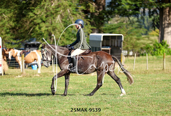 25MAK-9539