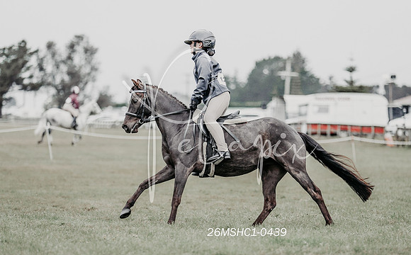 26MSHC1-0439