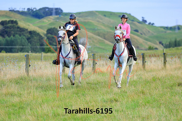 Tarahills-6195