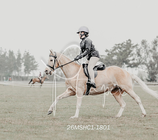 26MSHC1-1801