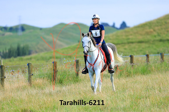 Tarahills-6211