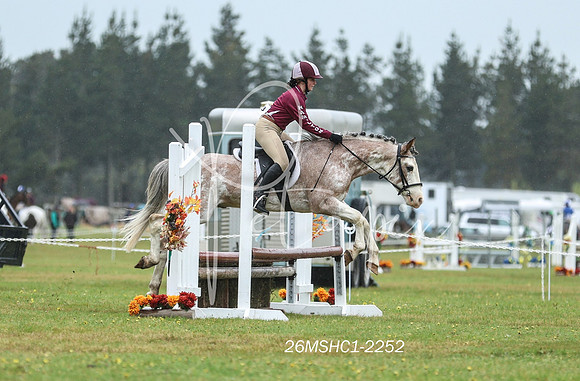 26MSHC1-2252