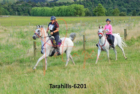 Tarahills-6201