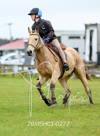 26MSHC1-0277