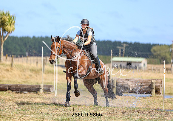 25ECD-9866