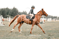 26MSHC1-0050