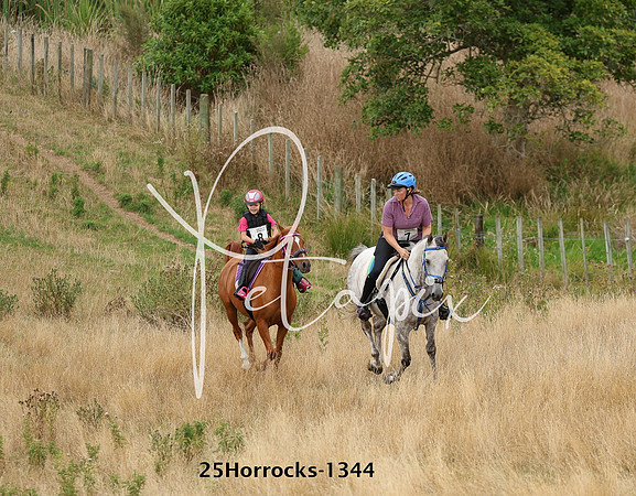 25Horrocks-1344