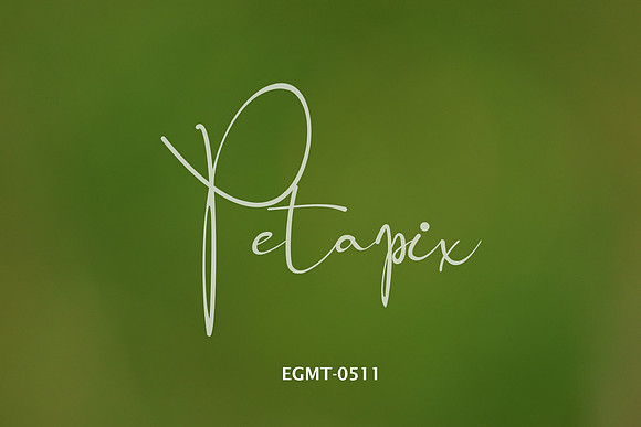 EGMT-0511
