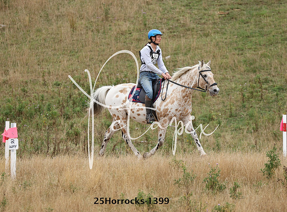25Horrocks-1399