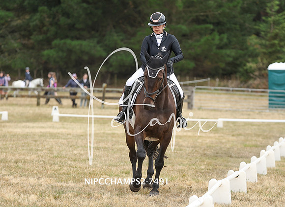 NIPCCHAMPS2-7491