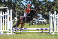 26Opiki-1318
