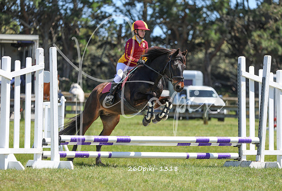 26Opiki-1318