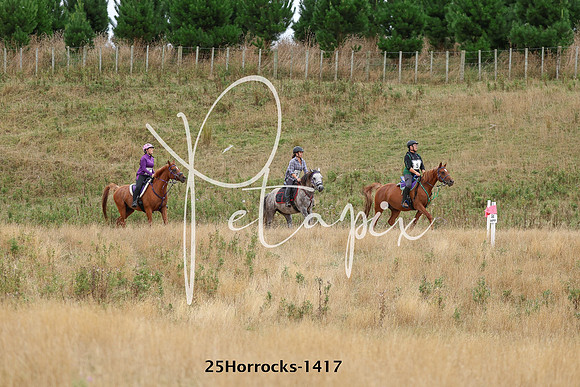 25Horrocks-1417