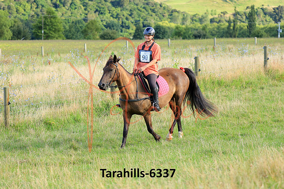 Tarahills-6337