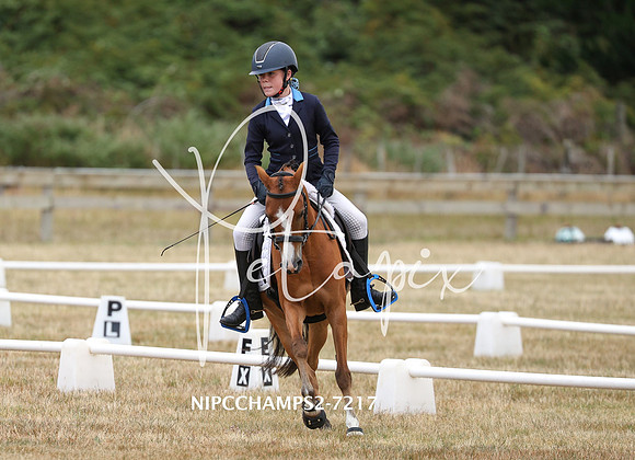 NIPCCHAMPS2-7217