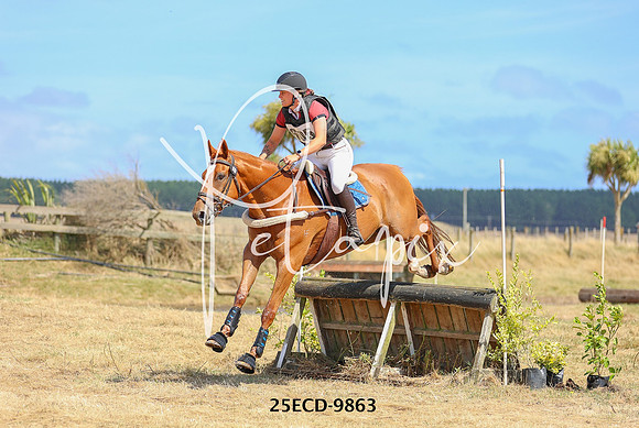 25ECD-9863