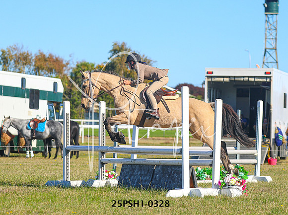 25PSH1-0328
