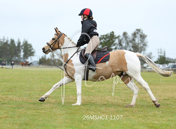 26MSHC1-1107