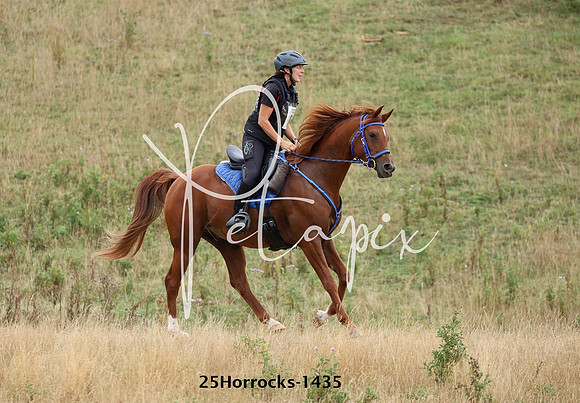 25Horrocks-1435
