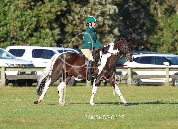 26MSHC2-0137