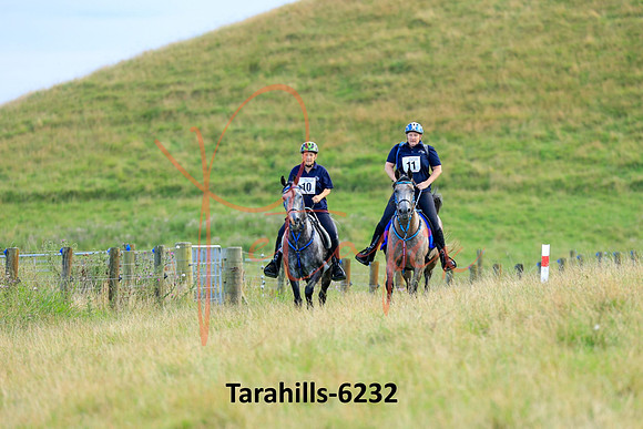 Tarahills-6232