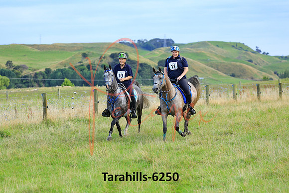Tarahills-6250