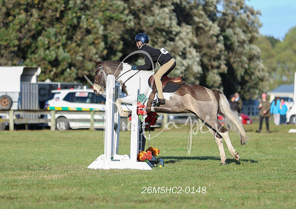 26MSHC2-0148