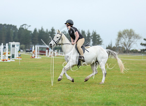 26MSHC1-0939