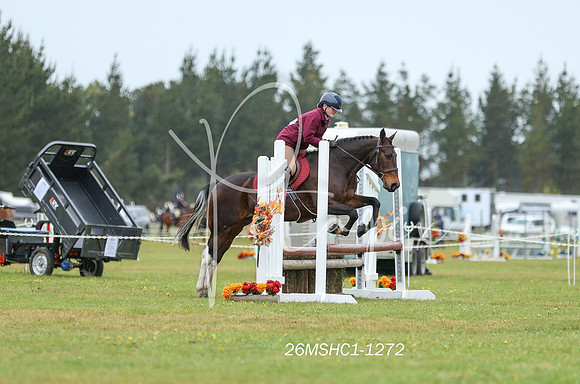 26MSHC1-1272