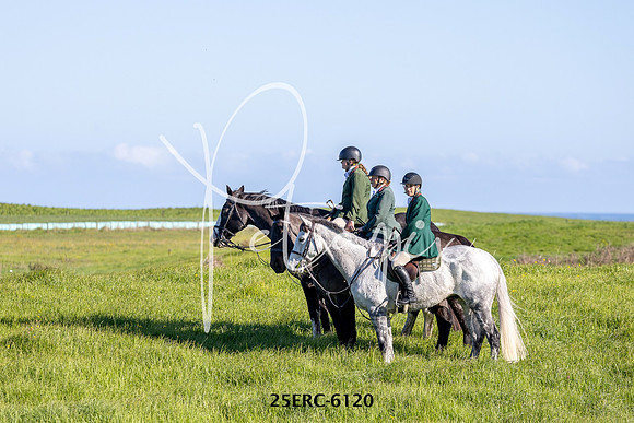 25ERC-6120