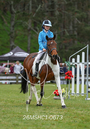 26MSHC1-0673