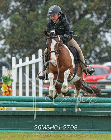 26MSHC1-2708