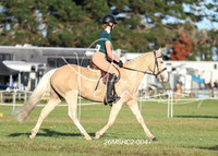 26MSHC2-0047