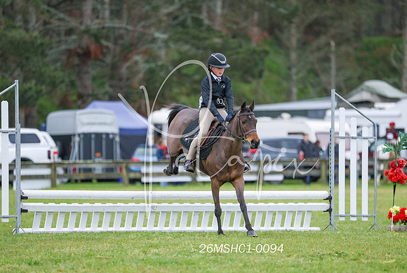 26MSHC1-0094