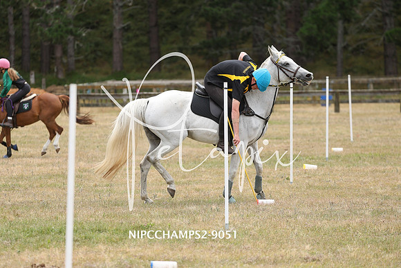NIPCCHAMPS2-9051