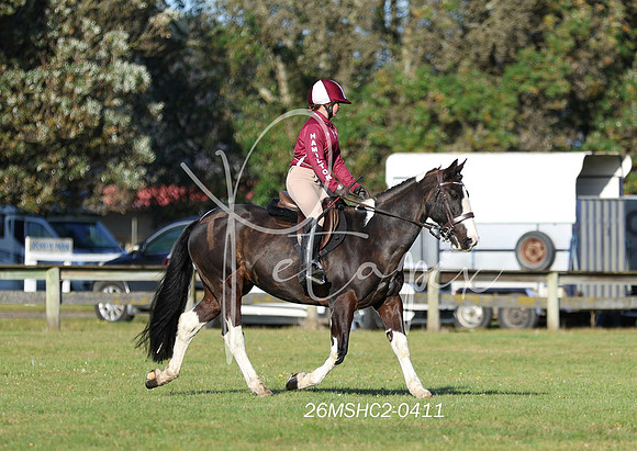 26MSHC2-0411