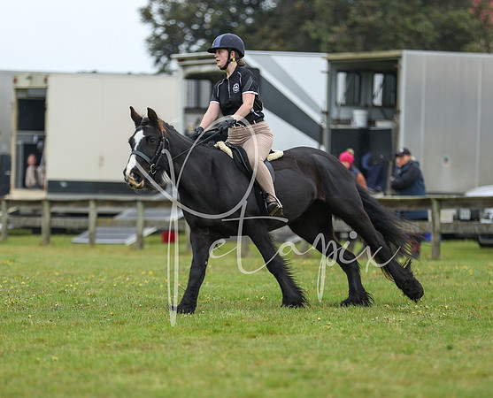 26MSHC1-0966