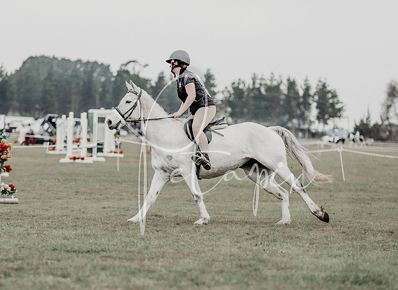 26MSHC1-0941