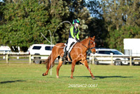 26MSHC2-0067