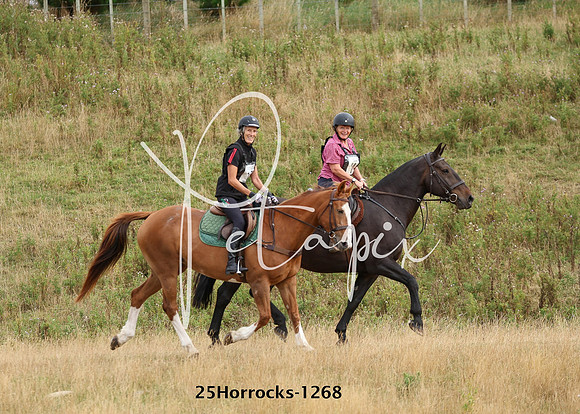 25Horrocks-1268