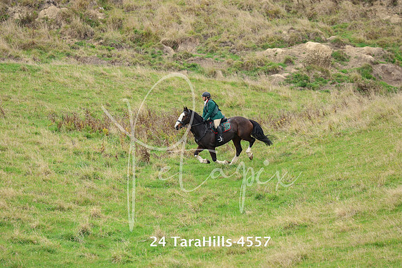 24 TaraHills-4557