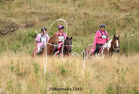 25Horrocks-1383