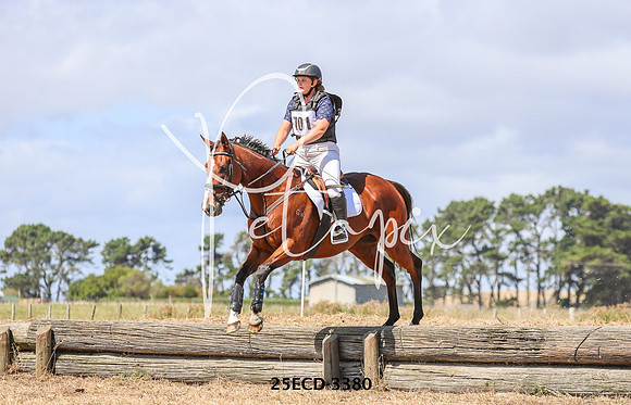 25ECD-3380