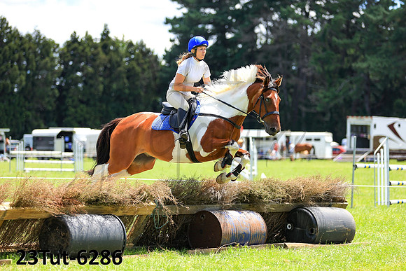 23Tut-6286