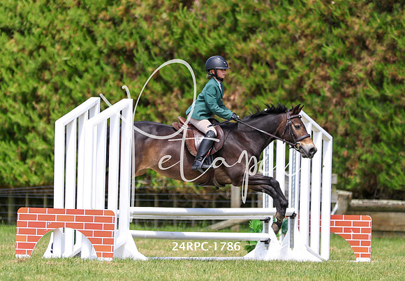 24RPC-1786