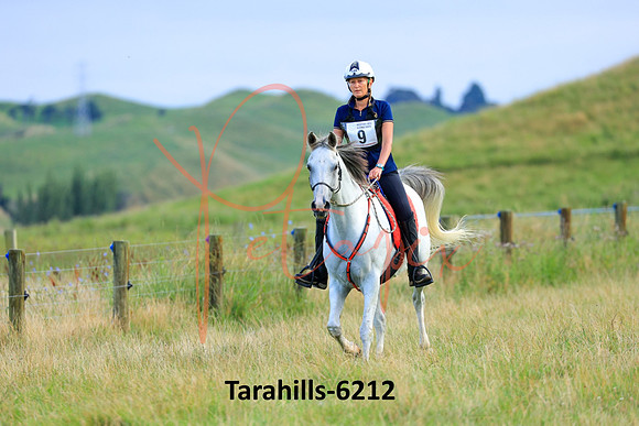 Tarahills-6212