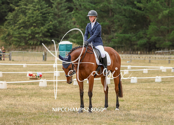 NIPCCHAMPS2-8060