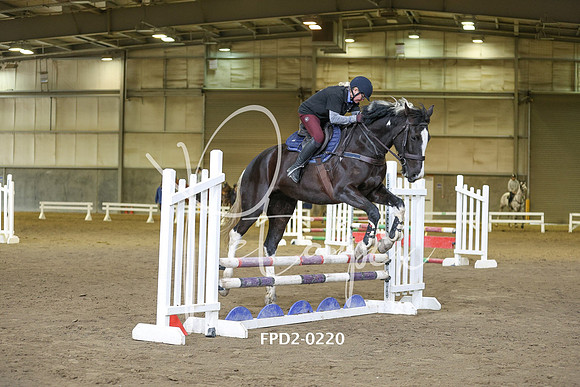 FPD2-0220
