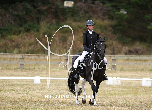 NIPCCHAMPS2-7234